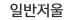 일반저울
